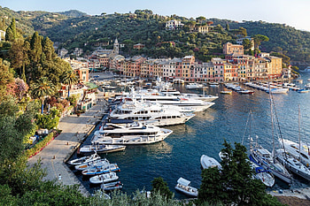 Portofino Italy, Evergreen shrub, Rosmarin, Mediterranean flora HD wallpaper