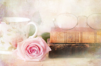 *** Beautiful pink rose ***, rose, pink, flower, nature, flowers HD wallpaper