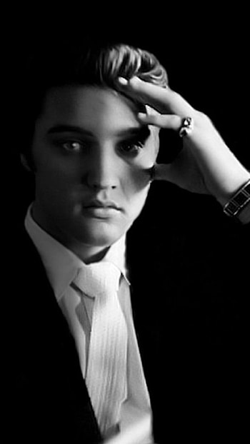 Elvis Presley, , cat, High definition HD phone wallpaper