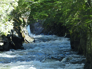 Swift Water, Gut Gorge, graphy, Trees, Nature, River HD wallpaper