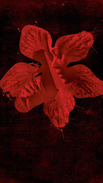 Colombiana (2022) movie HD phone wallpaper