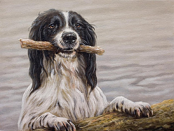 I have him, animal, dog, painting, water HD wallpaper