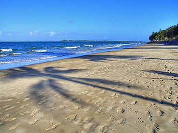 Shadows on the beach, shadows, beach HD wallpaper
