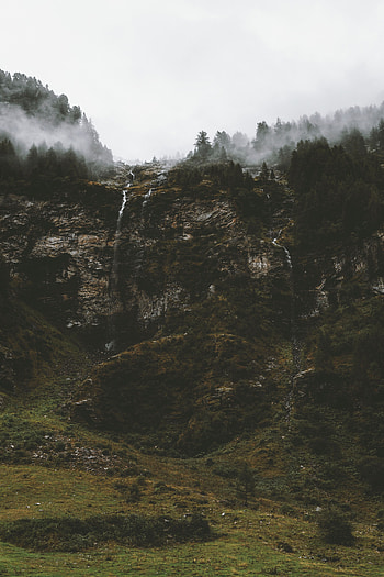 Nature, Trees, Fog, Break, Precipice, Brooks, Streams HD phone wallpaper