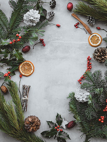 Cones, New Year, Berries, Miscellanea, Miscellaneous, Christmas, Branches HD phone wallpaper