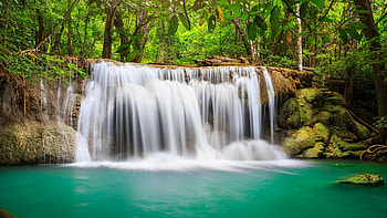 Rainforest waterfall, Nature's serenity, Tranquil beauty, Water's symphony HD wallpaper