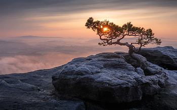 Sunset in Switzerland, nature, rocks, tree, sunset HD wallpaper