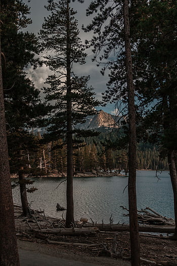 Peaceful forest scene by a mountain lake, perfect for travel and nature lovers. HD phone wallpaper