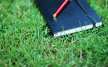 Grass, Miscellanea, Miscellaneous, Greens, Notebook, Notepad, Pen HD wallpaper