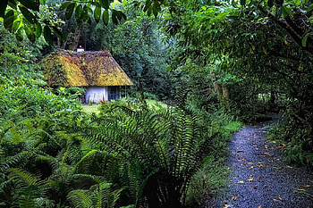 Forest Hut, cool, forest, , hut HD wallpaper