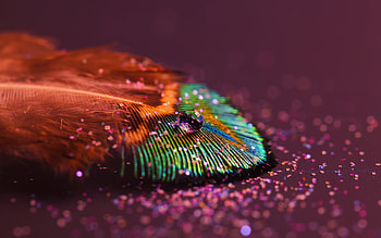 Background, Drops, Feather HD wallpaper