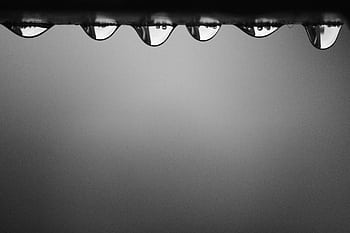 A black and white macro featuring dewdrops on a surface, capturing minimalistic beauty. HD wallpaper