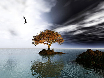 single tree, unique art, awesome HD wallpaper
