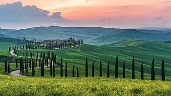 Road Between Trees Greenery Hills Slope Tuscany During Sunset Nature HD wallpaper