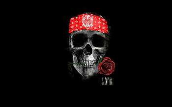 Gun N Roses, gun-n-roses, skull, artist, digital-art HD wallpaper
