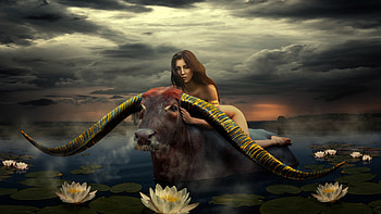 Europa, cow, evgeny dvoretckiy, horns, fantasy, art, girl, dark HD wallpaper
