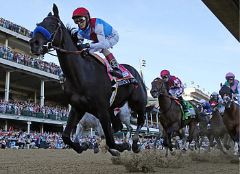 Medina Spirit, Saudi-owned winner, Unexpected tragedy, Sad turn of events HD wallpaper