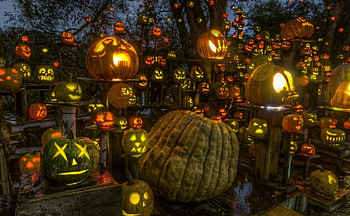 Halloween pumpkins party, magic, color, beautiful, party, halloween, shop, lights, pumpkin, splendor, lovely HD wallpaper