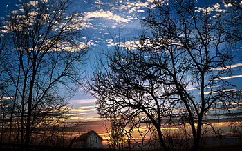Nature, Trees, Sunset, Sky, Twilight, Clouds, Branches, Branch, Small House, Lodge, Dusk, Evening, Slope, Incline HD wallpaper
