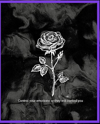 Take this advice, art, graph HD phone wallpaper