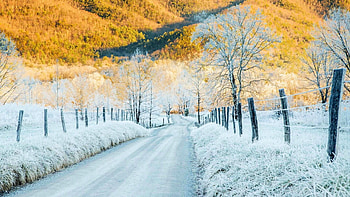 Early Snow in Late Autumn, colors, trees, fences, road, fall HD wallpaper
