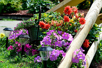 Little Garden Corner, little garden, flower garden, fence, flower bed HD wallpaper