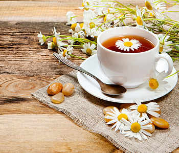 Camomile Tea, tea, camomile, herbal, flowers, cup HD wallpaper