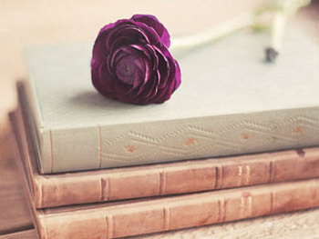 Purple, rose, book, vintage HD wallpaper