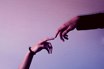 Lilac, Miscellanea, Miscellaneous, Hands, Fingers, Touching, Touch HD wallpaper