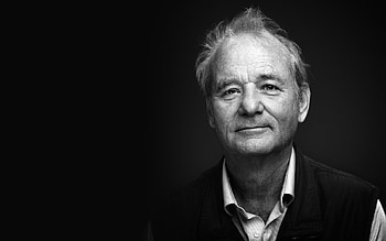 Bill Murray, Movies, Top , Backgrounds HD wallpaper