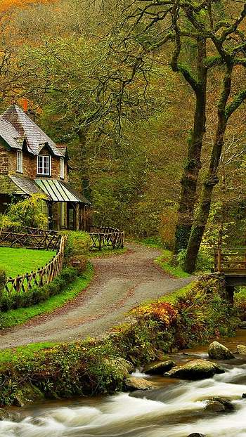 Riverside tranquility, Serene surroundings, Idyllic location, que setting HD phone wallpaper