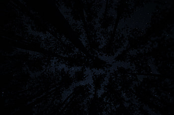 Trees, Night, Dark, Starry Sky, Darkness HD wallpaper