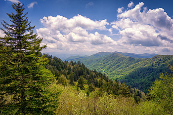 Newfound Gap, Great Smoky Mountains National Park HD wallpaper