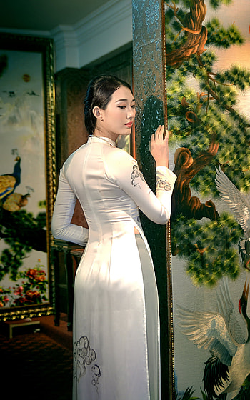 Vietnamese, Ao Dai, woman, asian HD phone wallpaper