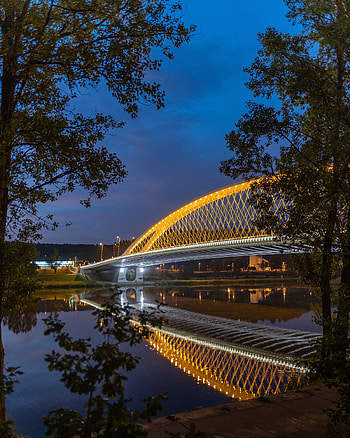 Cities, Rivers, Architecture, Lights, Branches, Bridge HD phone wallpaper