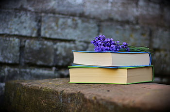 A tranquil scene with stacked books and lavender flowers on a stone bench, ideal for education themes. HD wallpaper