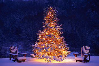 Christmas tree, chairs, winter, Christmas, 2017, holiday HD wallpaper