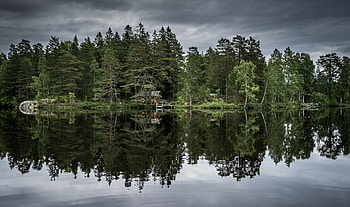 Nature, Trees, Lake, Reflection HD wallpaper