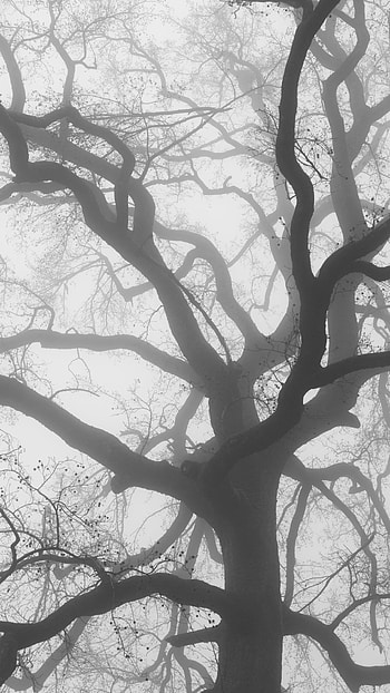 Grey Aesthetic, Grey Atmosphere HD phone wallpaper
