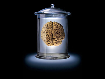 Bank, 3D, Brown, Glass, Jar, Brain HD wallpaper