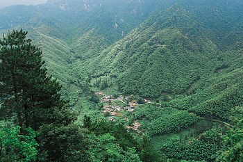 Nature, Trees, Mountains, View From Above HD wallpaper