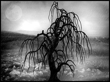 A gothic tree, gothic, lonely, tree HD wallpaper