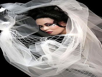 SHEER COVER, model, asia, sheer, transparent, cover HD wallpaper