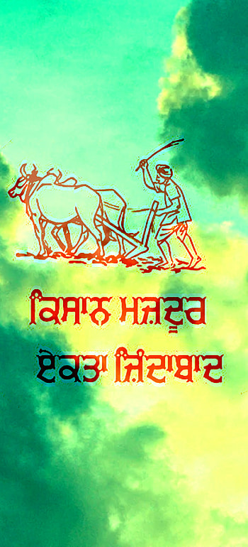 NO FARMERS NO FOOD, art, green HD phone wallpaper