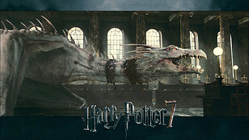 Harry Potter, Albus Dumbledore, Quote, Simple Background . HD wallpaper