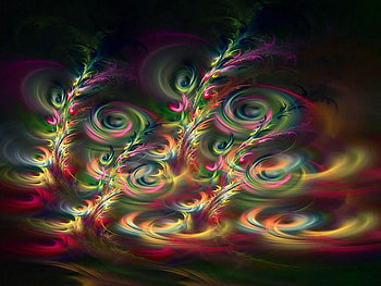 Flowerings, flowers, black, color HD wallpaper