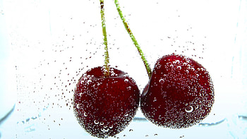 cherry bliss, Stunning , Summertime sweetness, Craving-inducing HD wallpaper