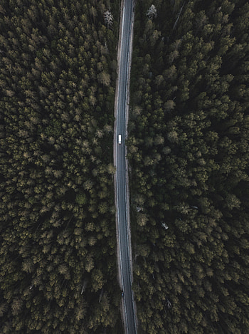 Nature, Trees, View From Above, Top, Road, Forest, Tops HD phone wallpaper