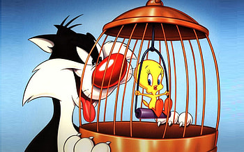 Sylvester the Cat, Tweety bird, Cartoon , Cage setting HD wallpaper