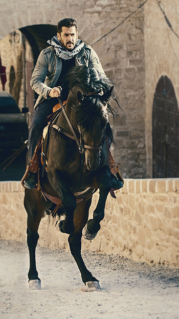 Tiger Zinda hai, horse, Salman_Khan HD phone wallpaper